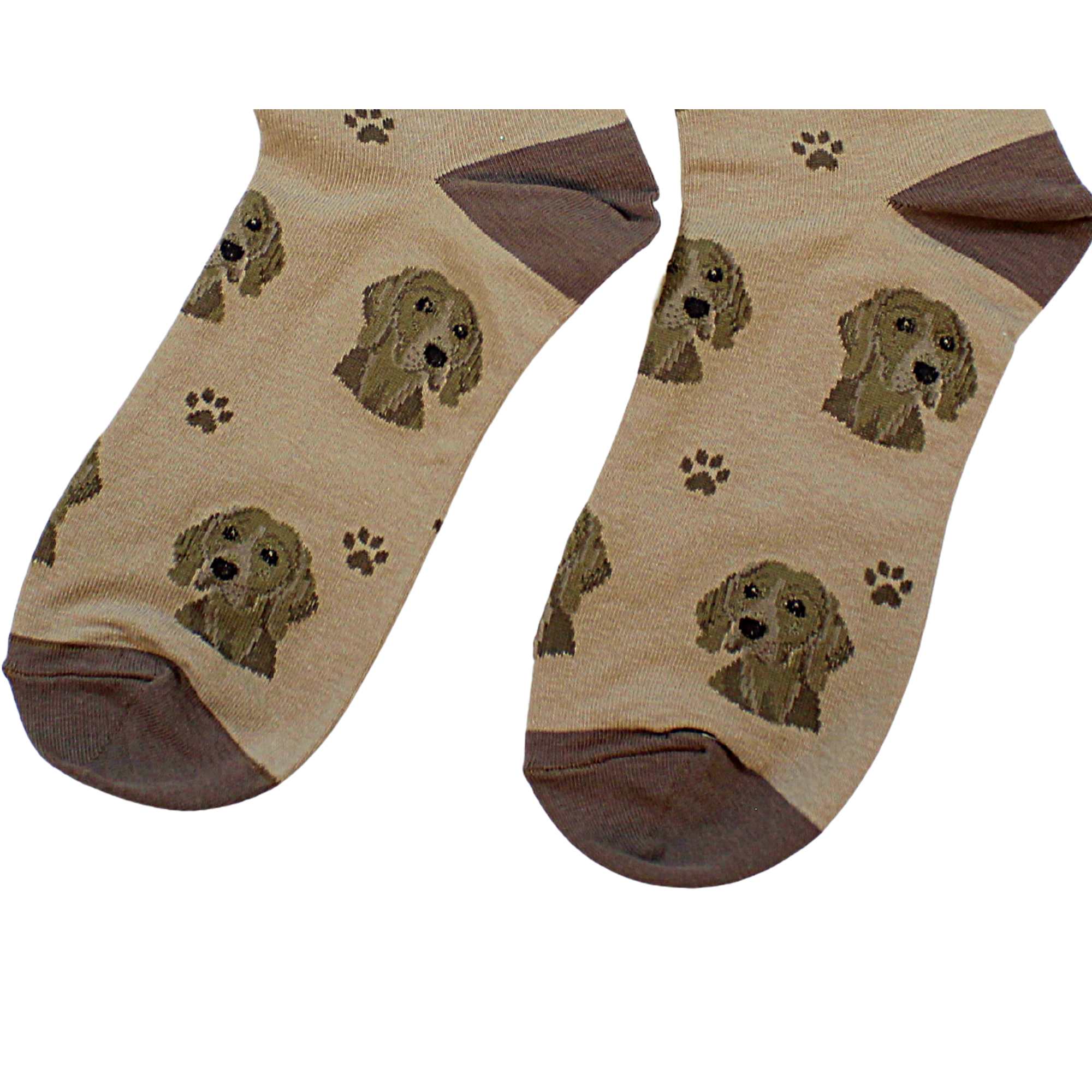 60664 Weimaraner Sock Daddy 80054