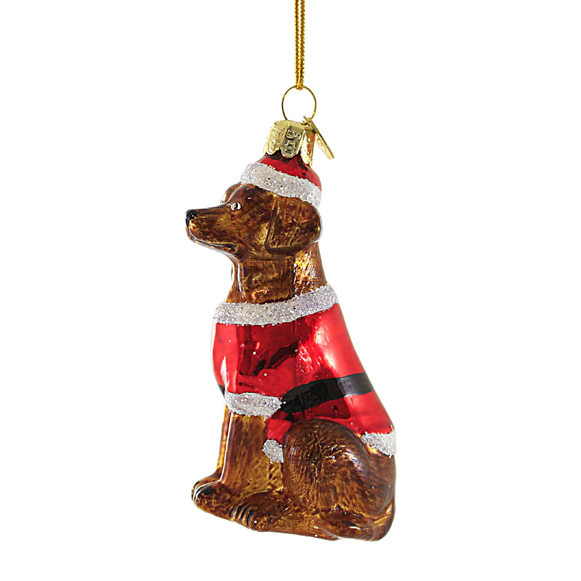 Parent-Nb1713 Dog In Santa Suit
