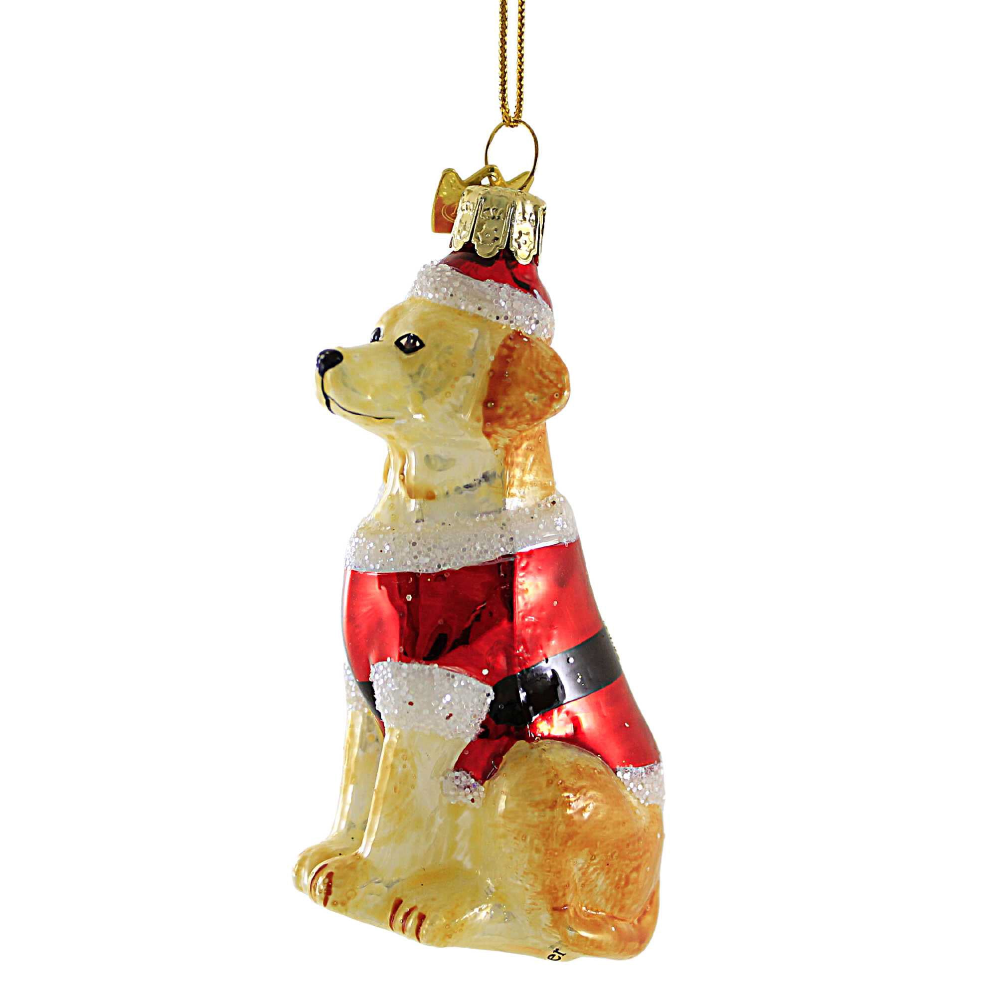 Parent-Nb1713 Dog In Santa Suit