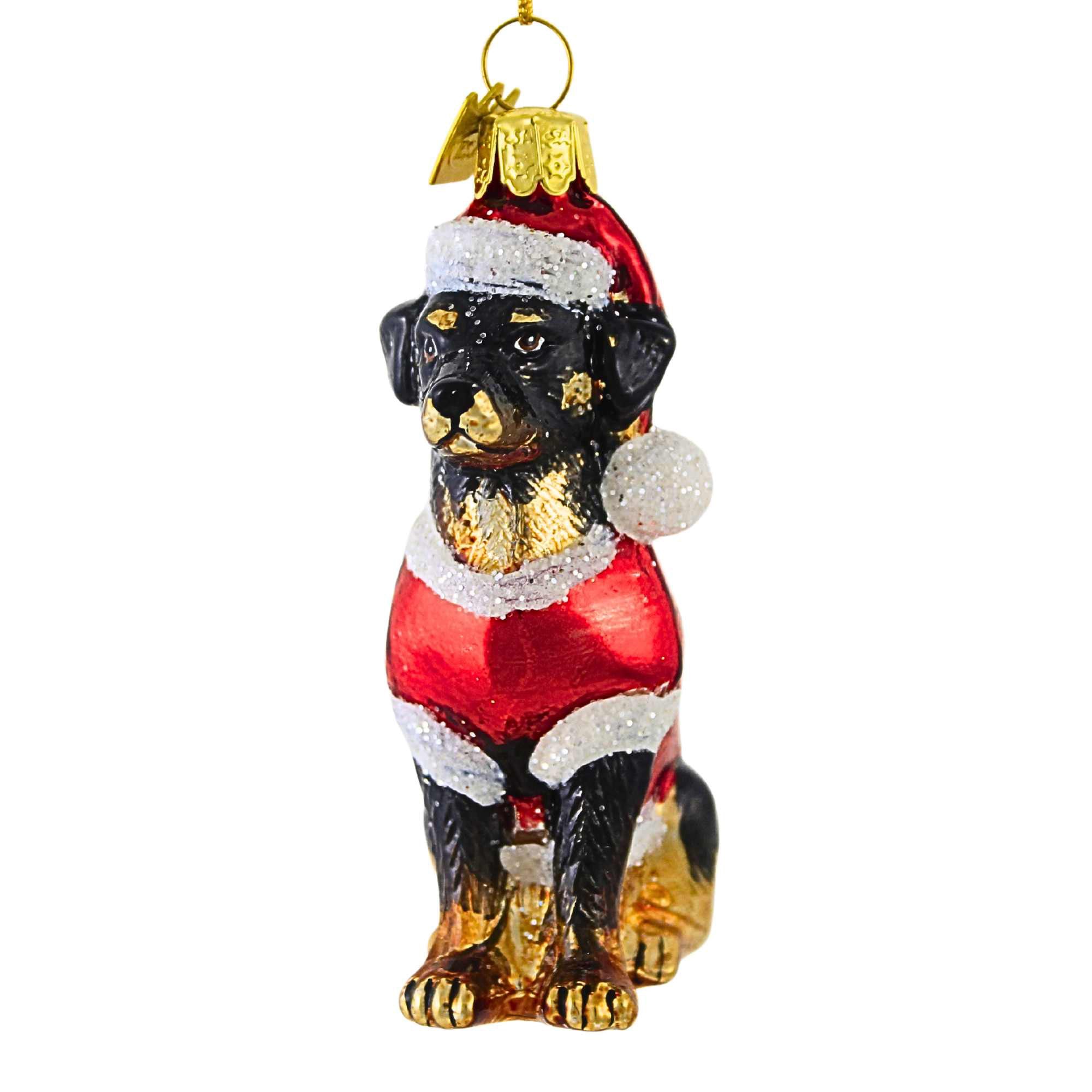 Parent-Nb1713 Dog In Santa Suit