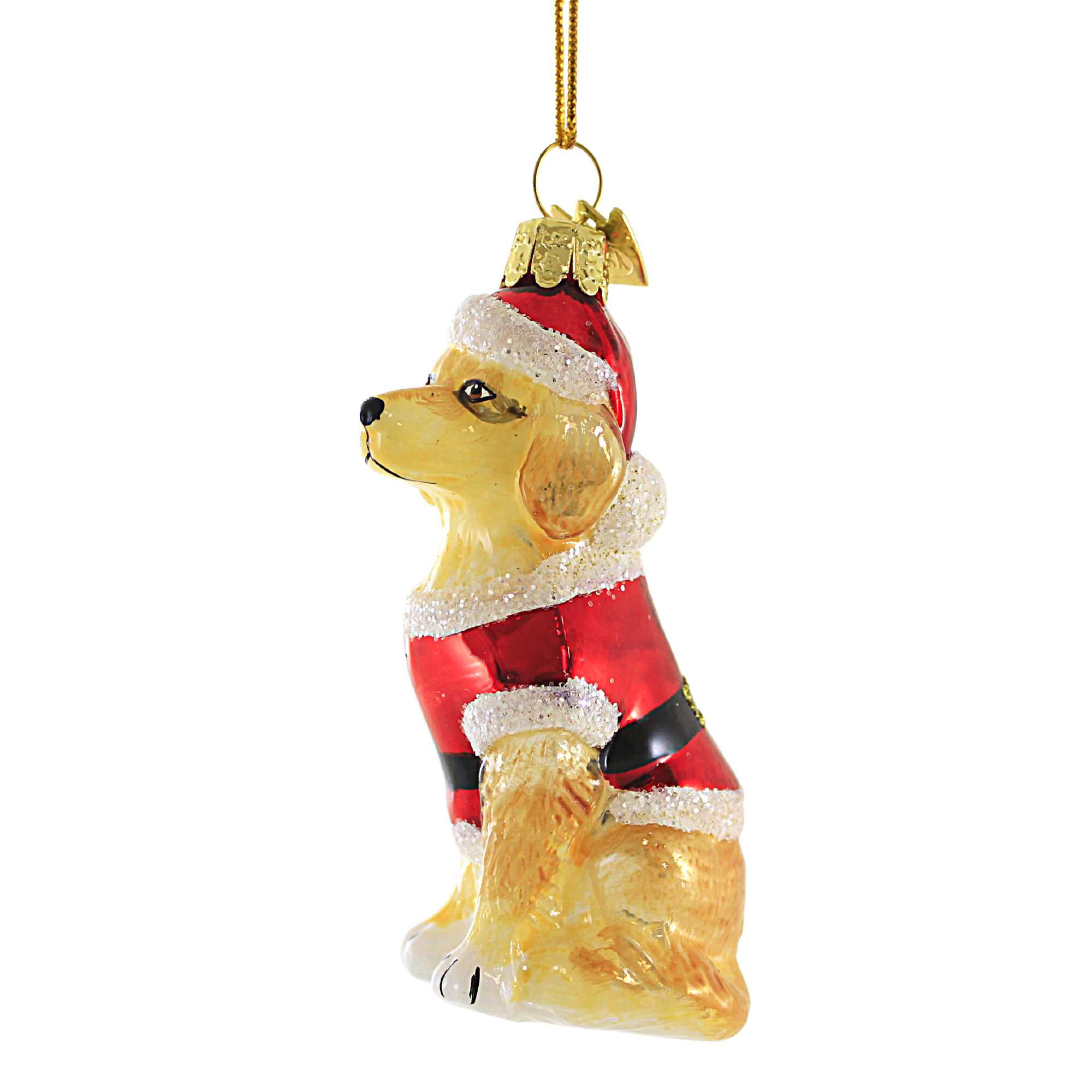 Parent-Nb1713 Dog In Santa Suit