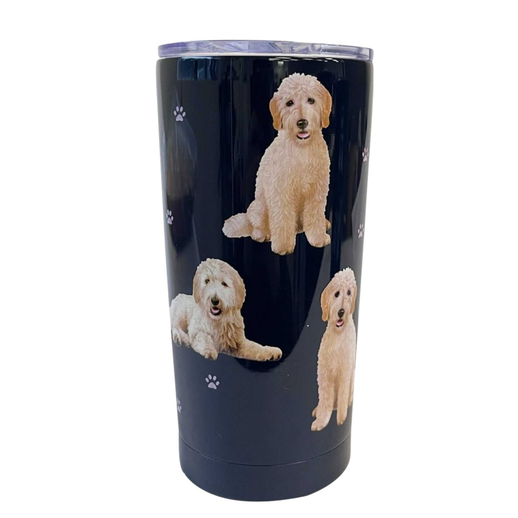 61617 Goldendoodle Serengeti 115134