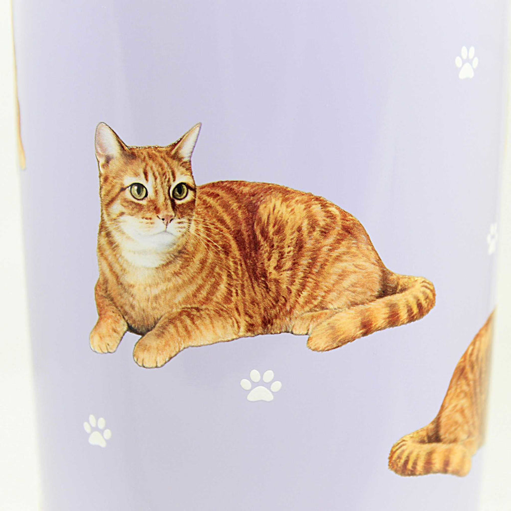 61634 Tabby Orange Serengeti Tumbler 1168A