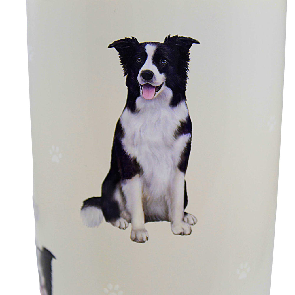 61644 Border Collie Serengeti Tumbler 1155A