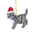 Parent-137020 Cat Wearing Santa Hat