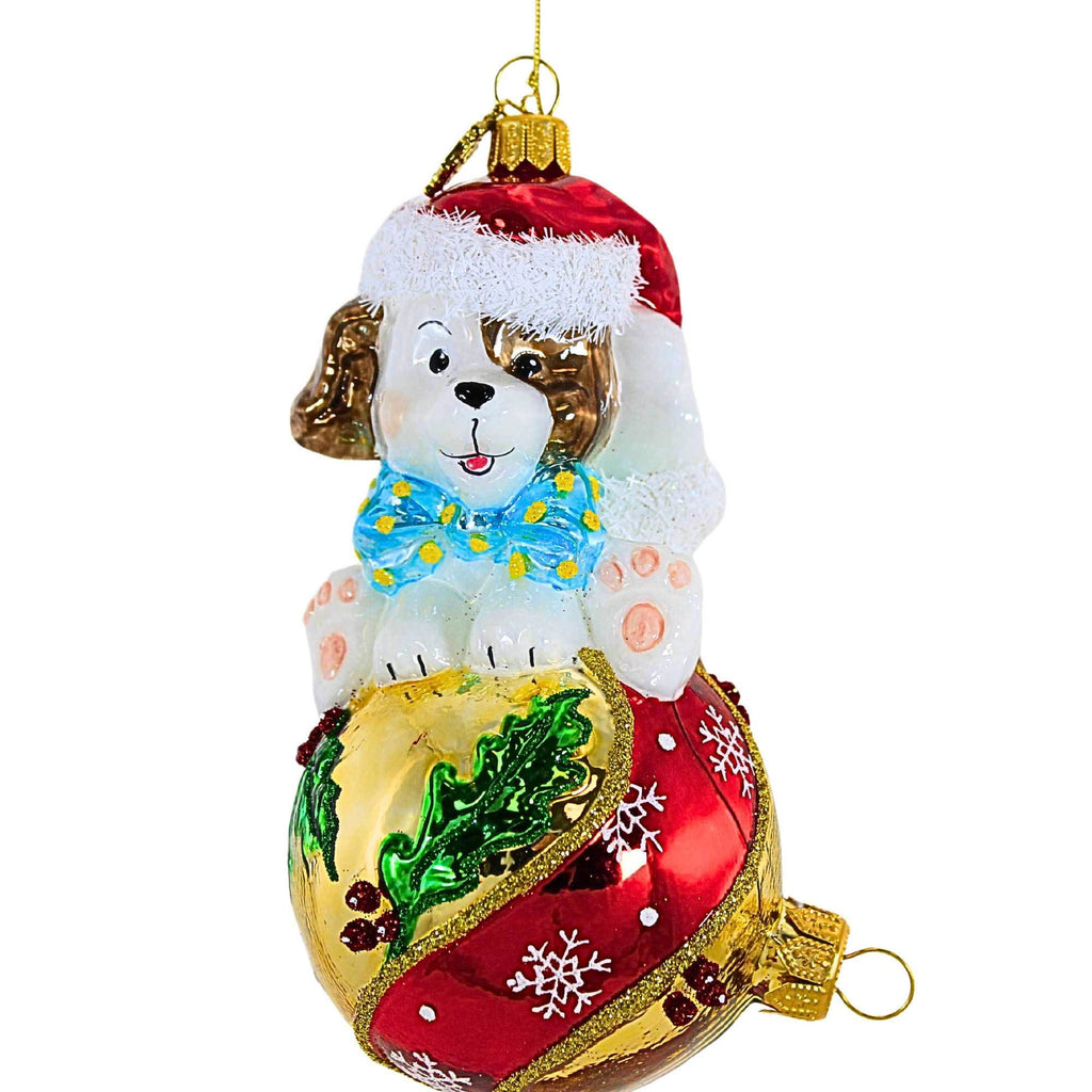 62667 Pup'n'bauble HF982