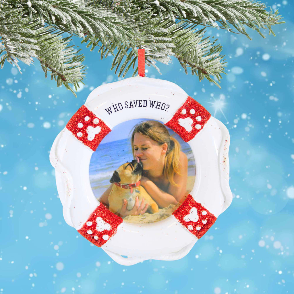 65393 Who Saved Who Picture Frame Ornament PF1713