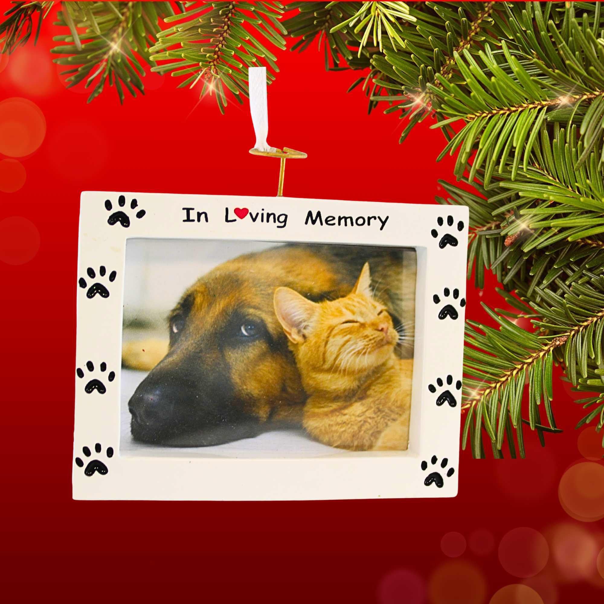 65397 Rest In Peace Pet Frame Ornament PF1145