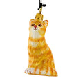 66265 Orange American Shorthair Cat ZKP1892OR