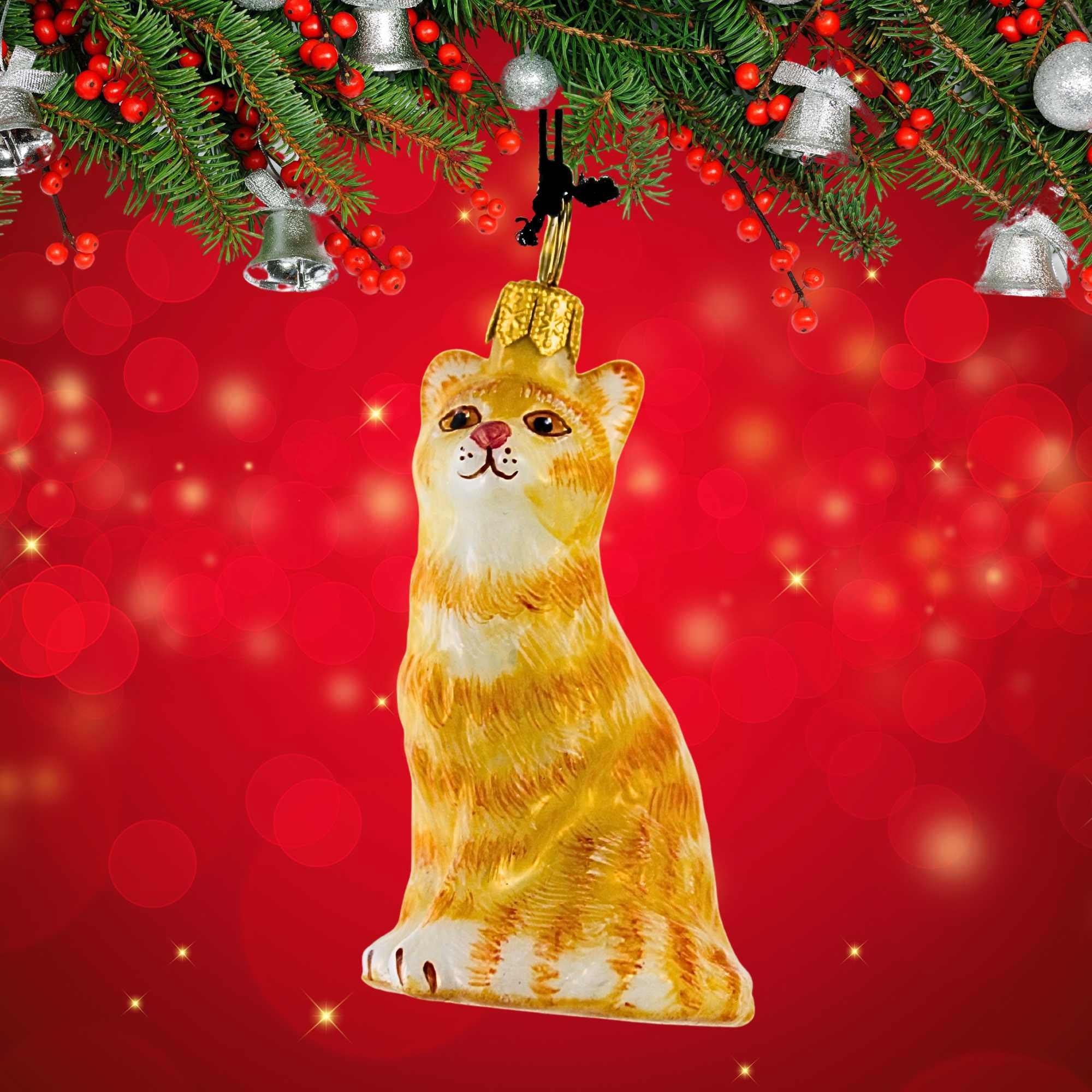 66265 Orange American Shorthair Cat ZKP1892OR