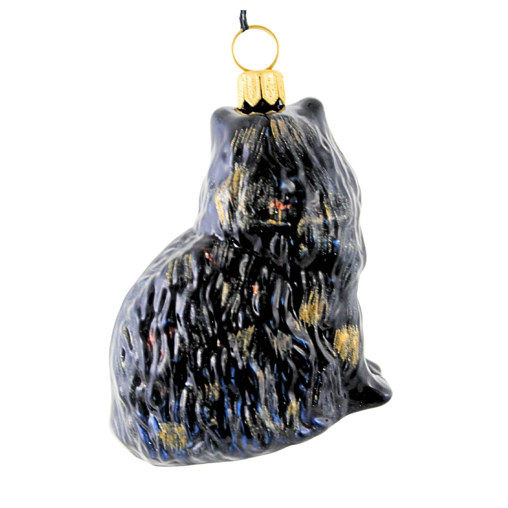 66267 Black Persian Cat ZKP1898BL