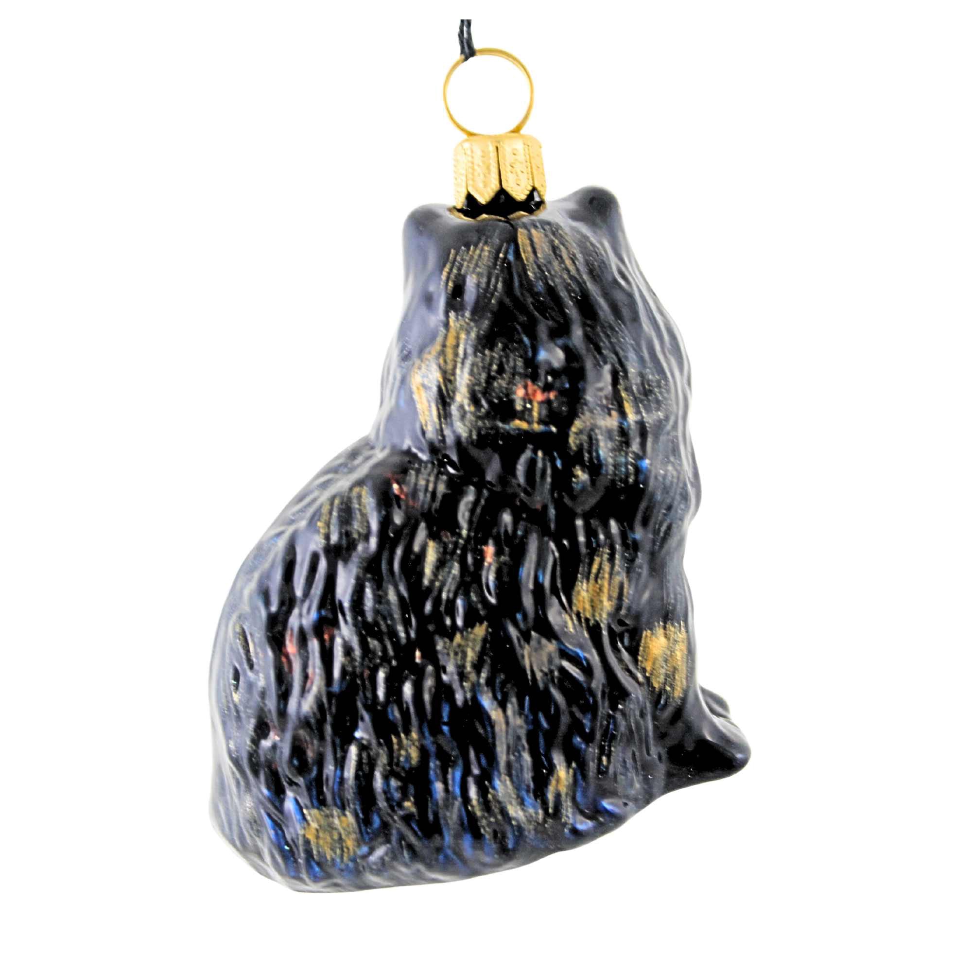 66267 Black Persian Cat ZKP1898BL