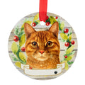 66544 Ceramic Orange Tabby Cat Ornament 5518
