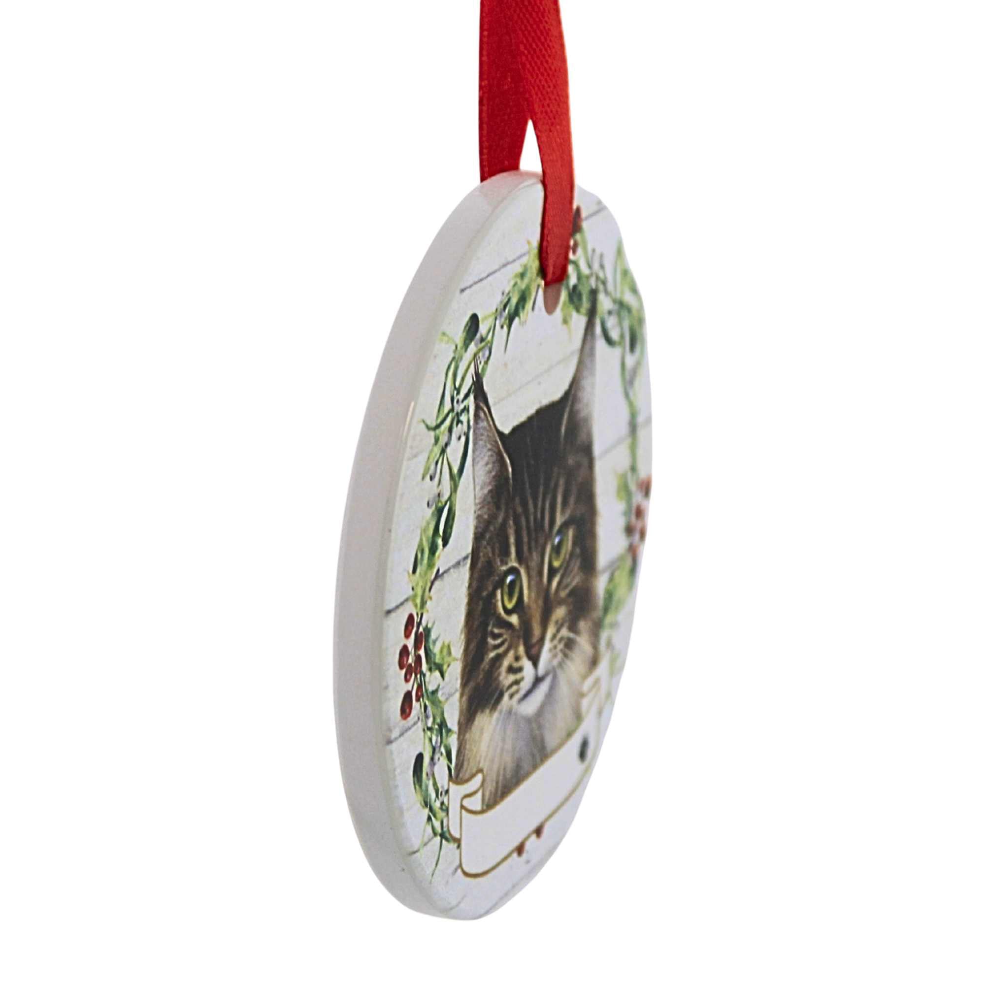 66545 Ceramic Maine Coon Cat Ornament 5516