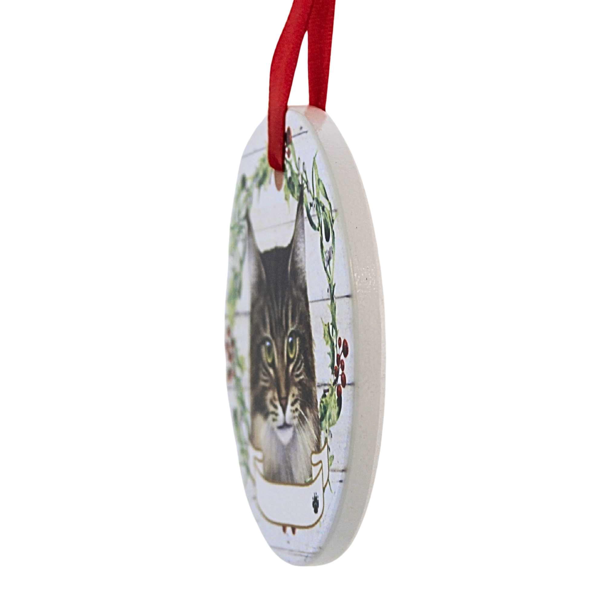 66545 Ceramic Maine Coon Cat Ornament 5516